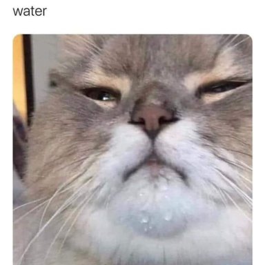 399803187_1381900976045106_9006466219052307471_n
