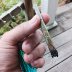 Schmokin'