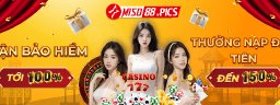 miso88pics1