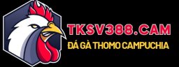 tksv388cam