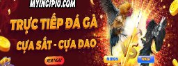 myincipiocom