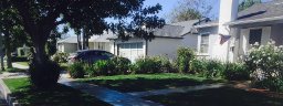 Tree Care Services