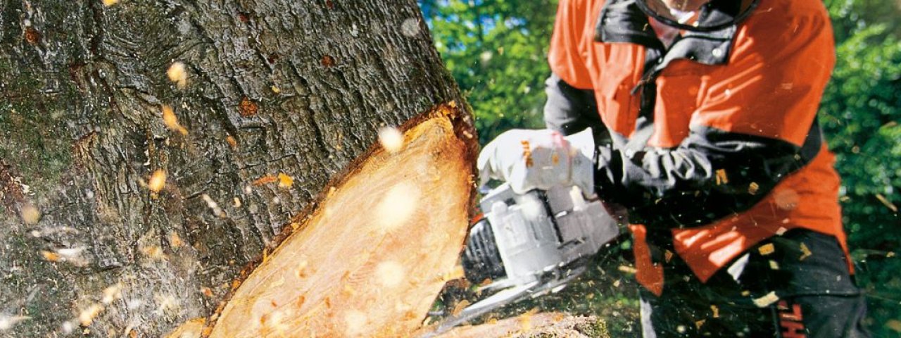 Tree Service Companies