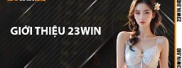 23winbid