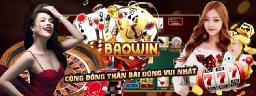 baowintech