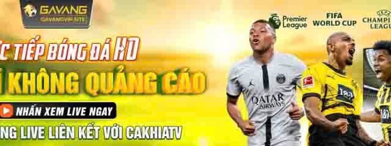 gavangtvvipsite