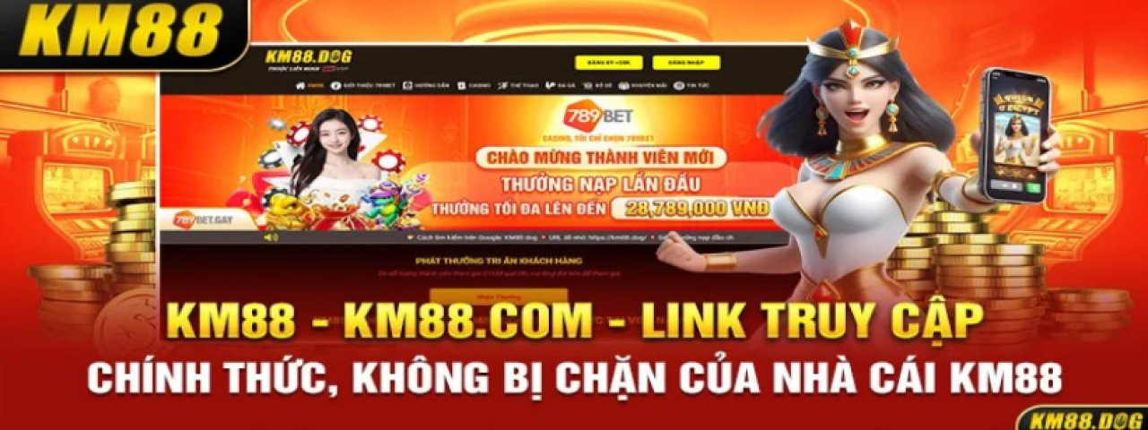 km88dog