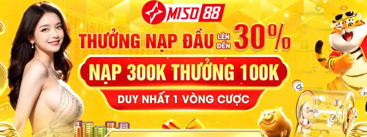 miso88vncom1