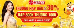 miso88vncom1