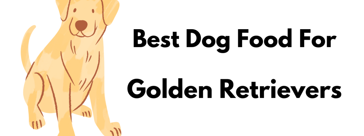 bestgoldenfood