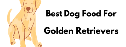 bestgoldenfood