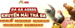 ae888phd