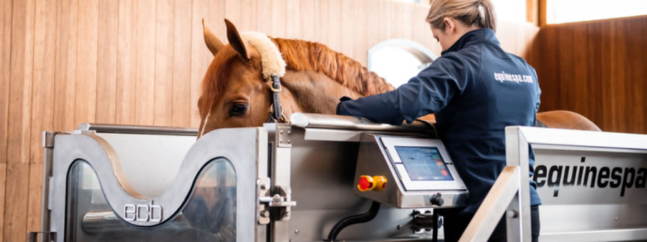 ECB Equine Spas