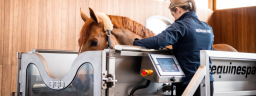 ECB Equine Spas