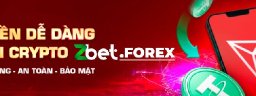 zbetforex