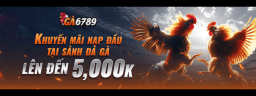 ga6789snapixels