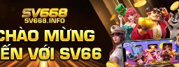 sv668info