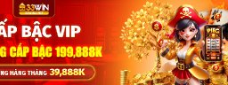 33winjnet