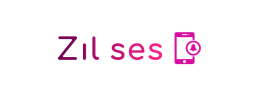 Zilses