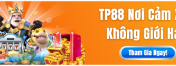 tp88cat