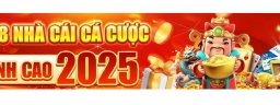 abc8bdcom