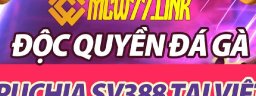mcw77link