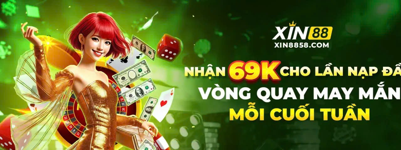 xin8858com