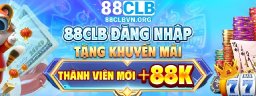 88clbvnorg