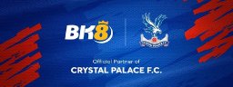 bk8dailyinfo