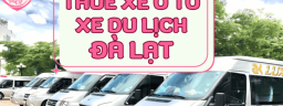 thuexedalatvr
