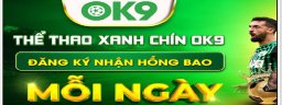ok9696com
