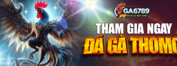 ga6789casisswf