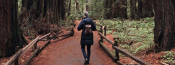 visitsequoia