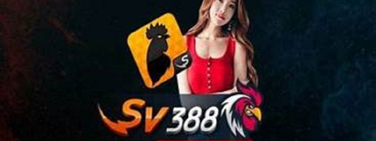nhacaisv388s