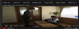 dulenlutnet