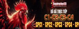 dagatructiep123
