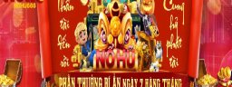 nohu6666org