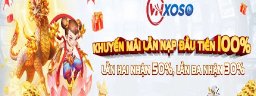 vnsoxowin