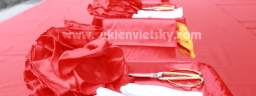 tochucsukienik