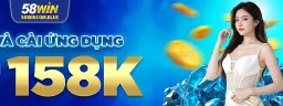 58wincomblue
