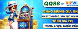 vipwindeal