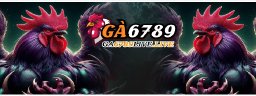 ga6789livelive1