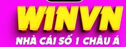 winvnto