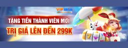 vipwinsolutions