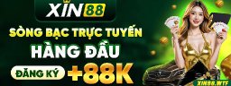 xin88wtf
