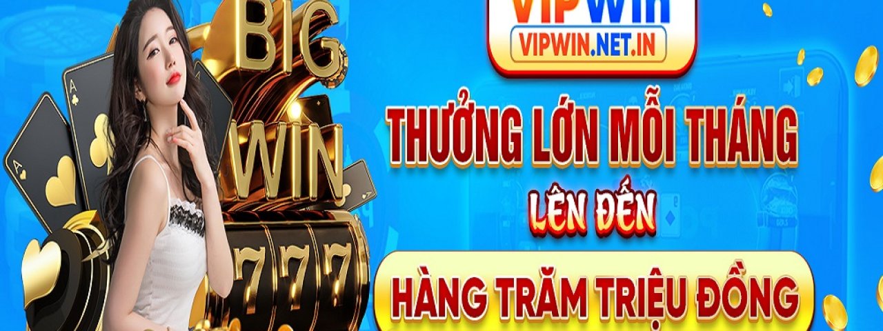 vipwinnetin