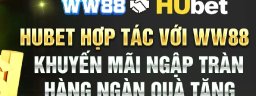 hubetingcom
