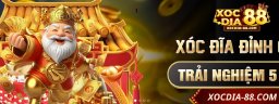 XOCDIA881