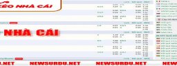 newsurdunet