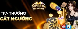 mmwincfd